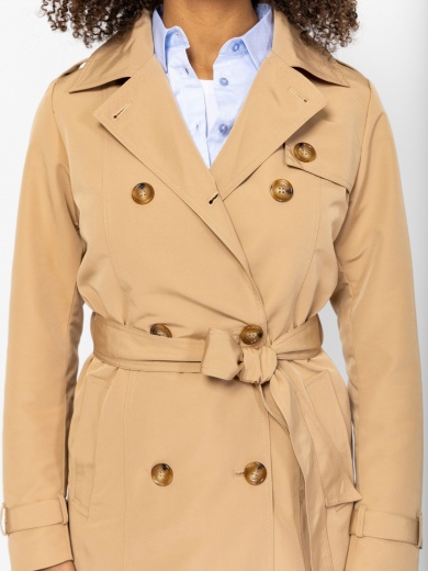 NOLSI