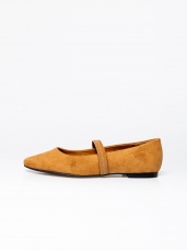 camel