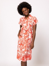 tropic